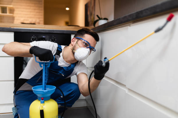 Reliable Arcadia, SC Pest Control Solutions