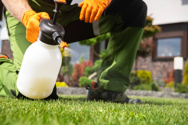 Best Local Pest Control Services  in Arcadia, SC