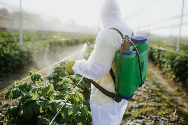 Best Affordable Pest Control Services  in Arcadia, SC